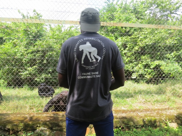 Espoir the guide at Lwiro Primate Rehabilitation Center. Copyright Rupi Mangat. (800x600)