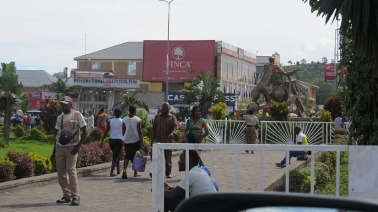 Goma CBD Copy right Rupi Mangat (800x450)