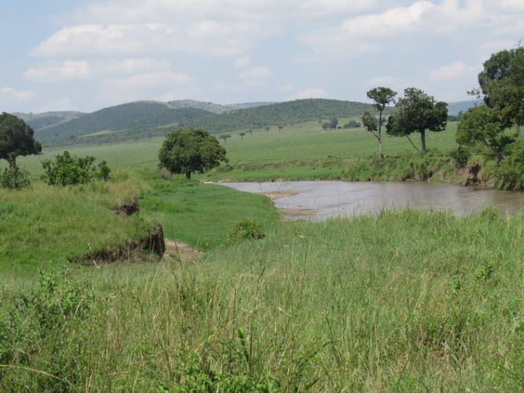 Jun 2019 Sand River between Serengeti and Maasai Mara. Copyright Rupi Mangat (800x600)