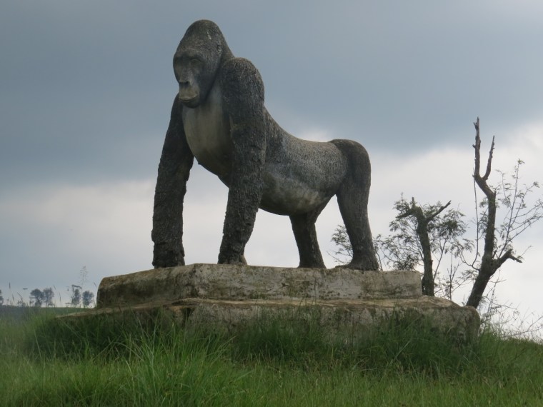 Life-size statue of Grauer's gorilla at Kahuzi-Biega National Park, DRC. Copyright Rupi Mangat (1280x960)