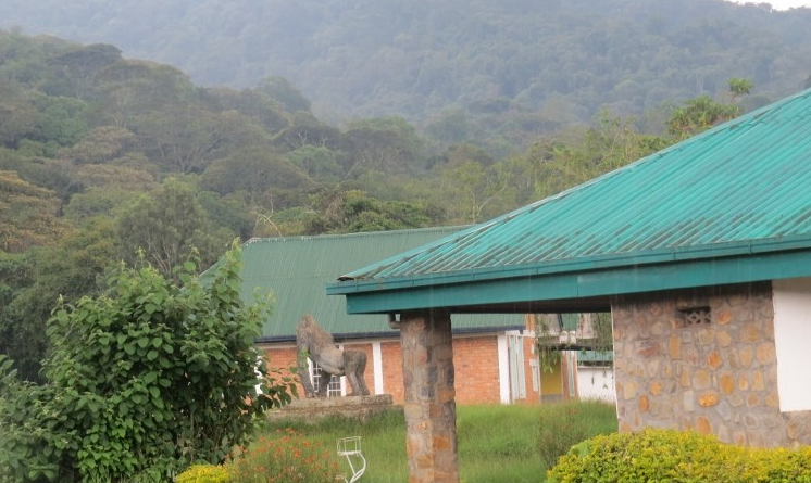 Park HQ at Kahuzi-Biega National Park, DRC. Copyright Rupi Mangat (800x600)