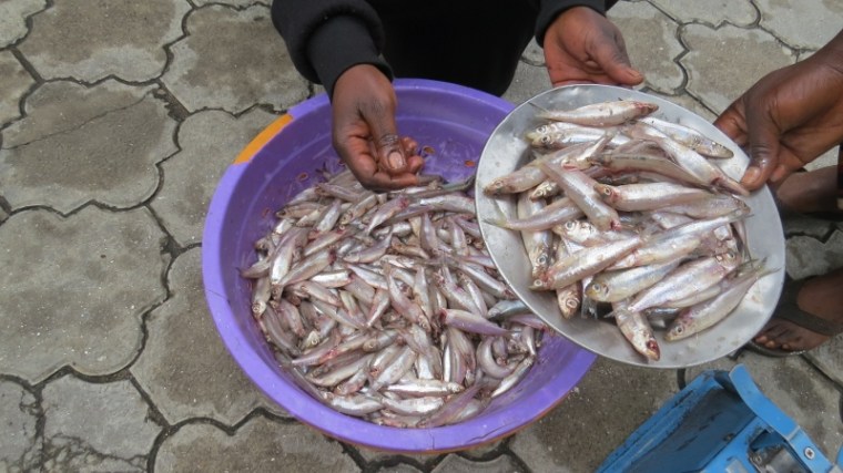 Sambaza the favourite fish from Lake Kivu - Copyright Rupi Mangat (800x450)