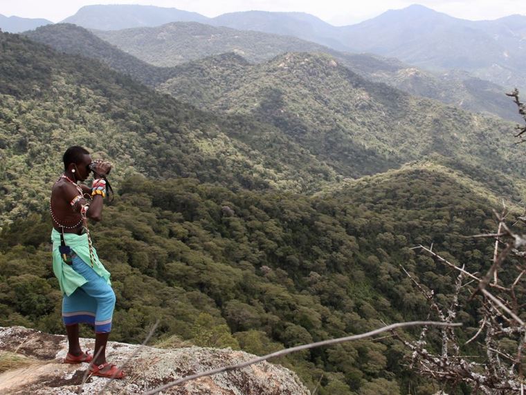 Island Sky Forests of Mathews Range. Facebook: Kitich Forest Camp