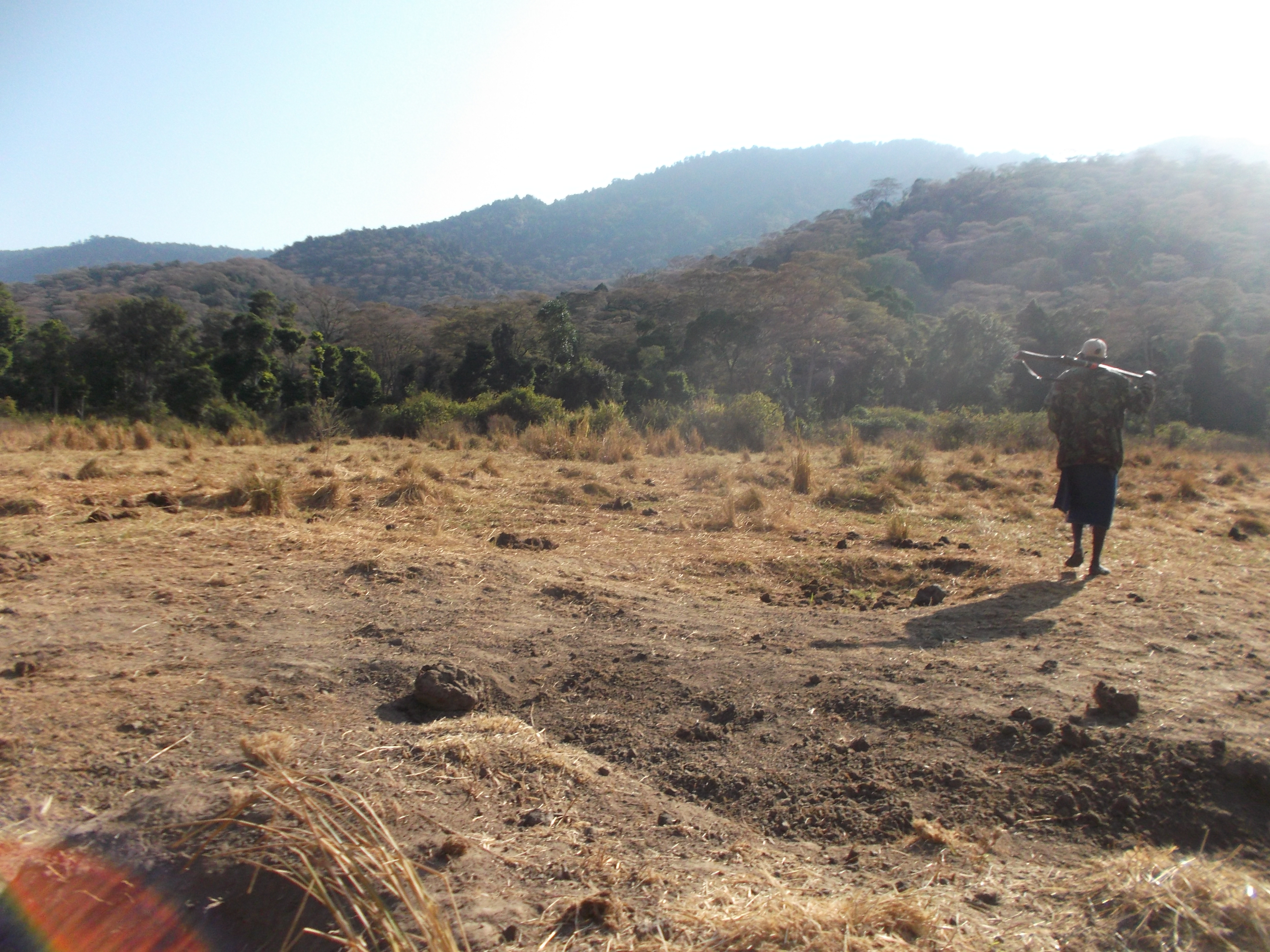 On Mathews Range between dry lower slope and the high forest- copyright rupi mangat
