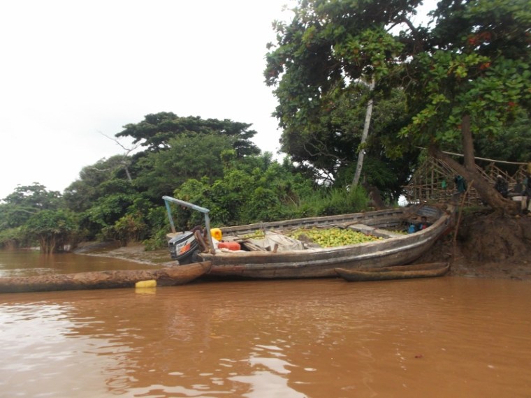 Mangoes being transported by dhow from villages upstream to kipini - rupi mangat one time use only 15 Feb 2014 (800x600)