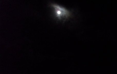 Sabaki River Mouth for a night bird walk. Facebook A Rocha Kenya