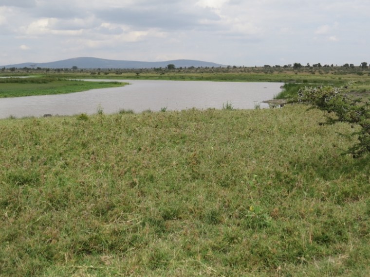 Lisa Ranch.Copyright Rupi Mangat (800x600)