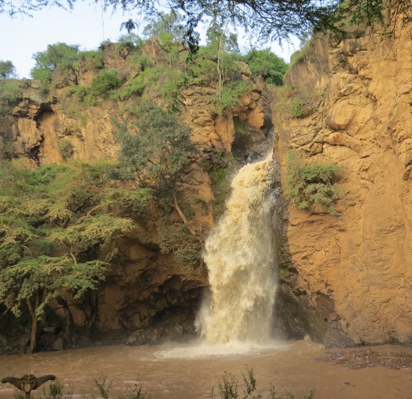 makalia-falls-in-lake-nakuru-national-park.-copyright-rupi-mangat-800x600.jpg