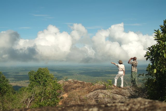 Shimba Hills National Reserve. Credit Shimba Lodge