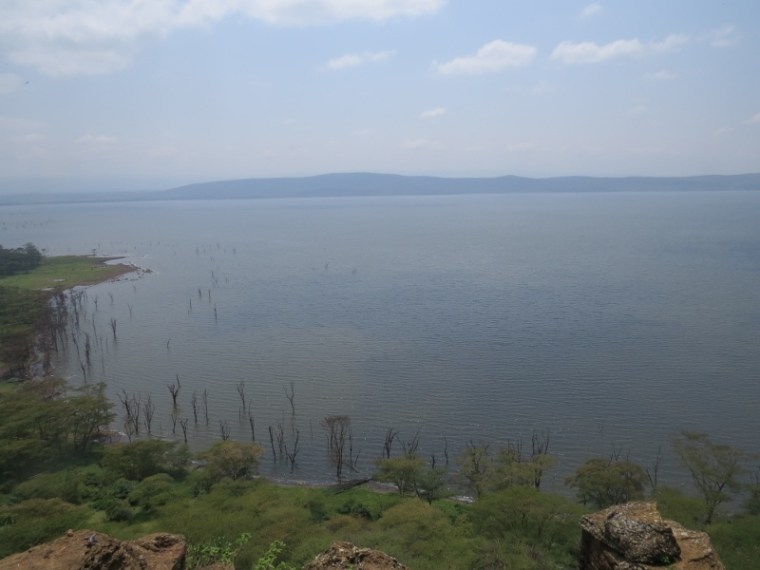 The flooded laken Lake Nakuru National Park. Copyright Rupi Mangat (800x600)
