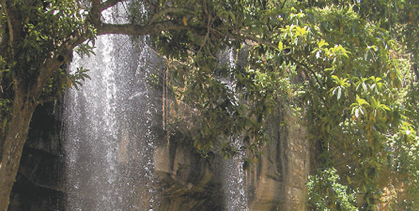 The Sheldrick Falls. Copyright Rupi Mangat