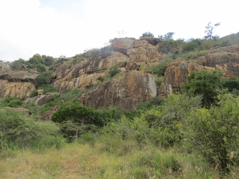Tiny figure of the rock climber on the cliff face of Lukenya belonging to the Mountain Club of Kenya. Copyright Rupi Mangat one time use only (800x600)