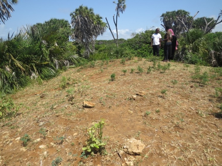 At the grave of legendary Fumo Liyngo near Kipini on tip of tana delta - rupi mangat - 26 Oct 2019 one time use only (800x600)