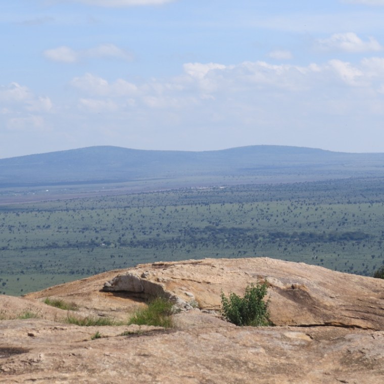 From the cliff face of Lukenya looking below on the plainr. Copyright Rupi Mangat one time use only (800x800)
