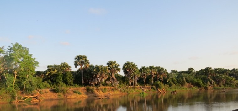 The Tana River where the critically endagnered Tana River Red colobus monkeys arefound near Garsen. Copyright Rupi Mangat (800x600)