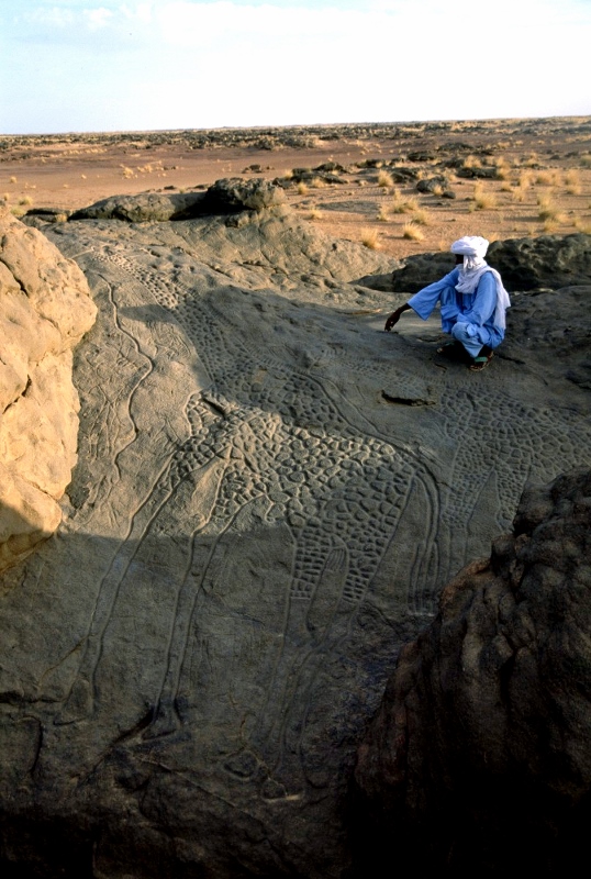 A Tuareg man by a 6,000 year life size engraving of giraffes in Niger. Copyright David Coulson of Trust for African Rock Art TARA (538x800)