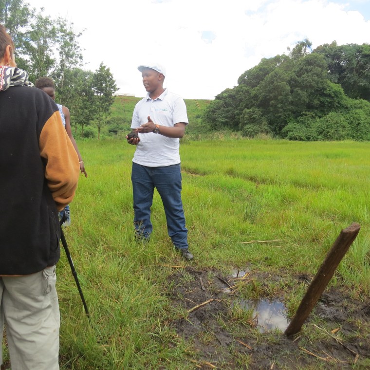 David Wakogy chairman of Friends of Ondiri Wetland Kenya by the submerged pole in the swamp . Copyright Rupi Mangat