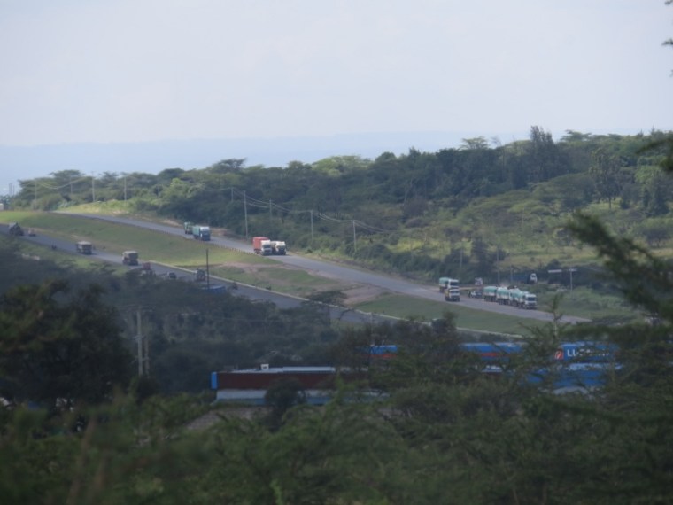 Dual carriageway along Manzonia dangerous crossing for wildlife and people . Copyright Rupi Mangat (800x600)