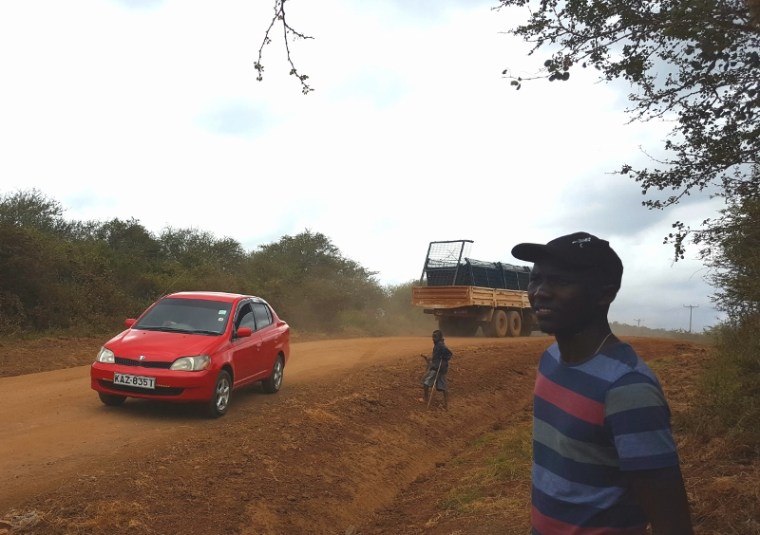 During Peter’s study a domestic dog was struck by a speeding lory along one of the side roads as the team was out mapping secondary roads. Driver never slowed and may not have even realized (800x564)