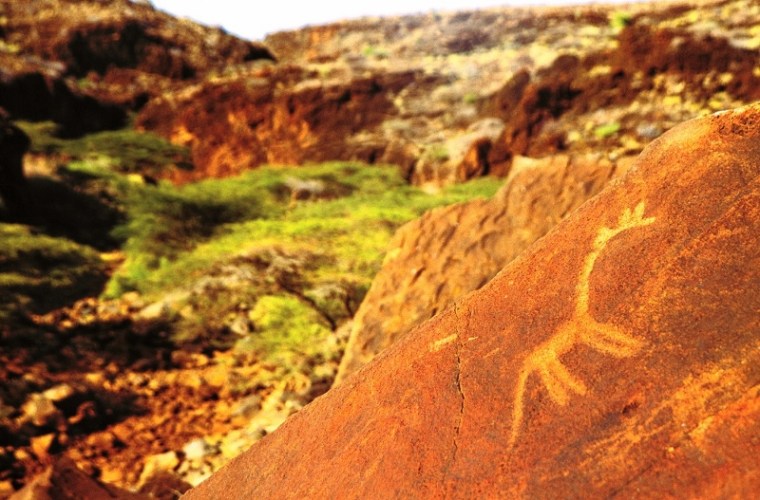 Engraving of giraffe in Afgaba gorge northern Kenya made around a thousand years ago by hunter gatherers who might have been Batwa.. Copyright David Coulson of Trust for African Rock Art TARA (800x527)