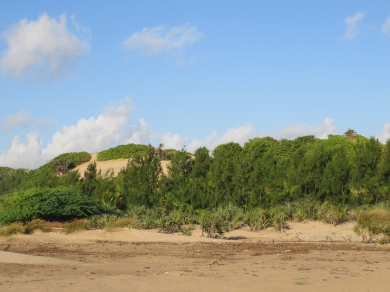 Sand dunes by Barefoot Beach camp near Malindi Copyright Rupi Mangat (800x600)