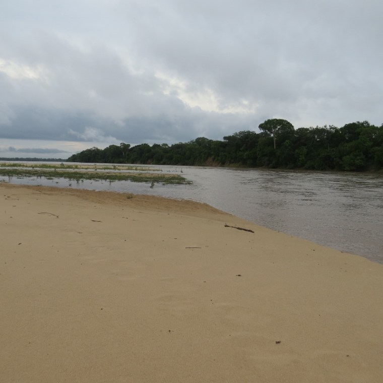 Sandbanks of the Rufiji with a hipo trail embedded in the sand in Nyerere National Park former Selous Tanzania. Copyright Rupi Mangat (800x800)