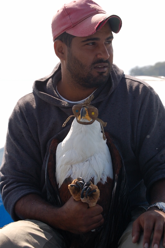Shiv Kapila holding African Fish Eagle. Copyright Shiv Kapila (532x800)