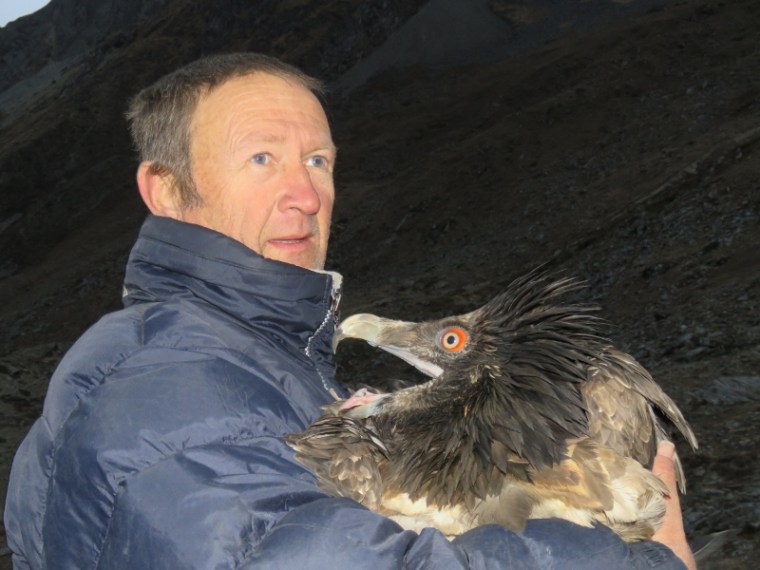 Simon Thomsett with rare Bearded Vulture, Copyright Simon Thomsett (800x600)