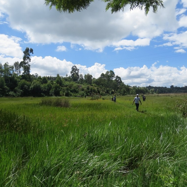 Walking across Ondiri swamp . Copyright Rupi Mangat (800x800)