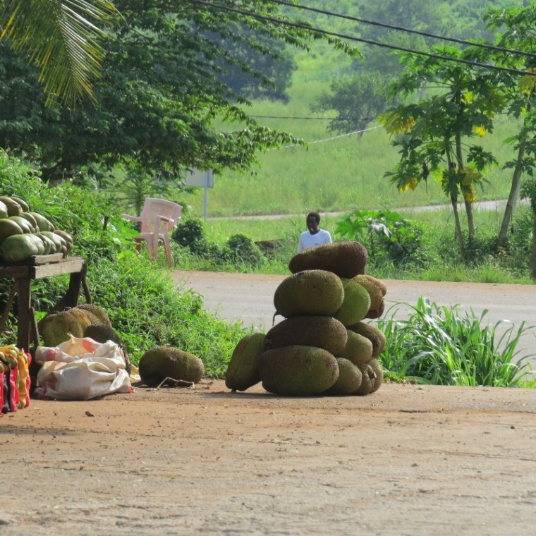 Jackfruit for sale Tanzania. Copyright Rupi Mangat (800x800)