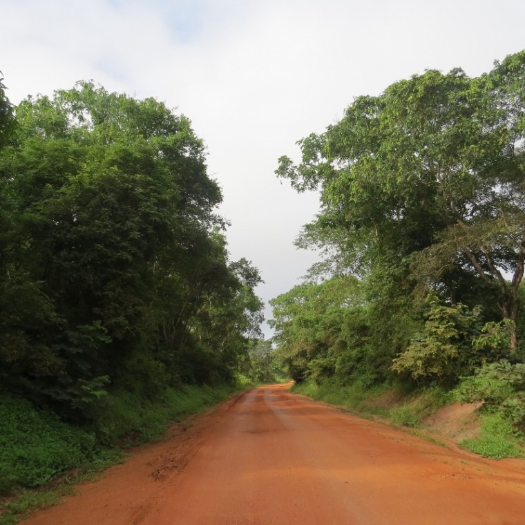 Road approaching Selous from Kibiti Tanzania. Copyright Rupi Mangat (800x800)
