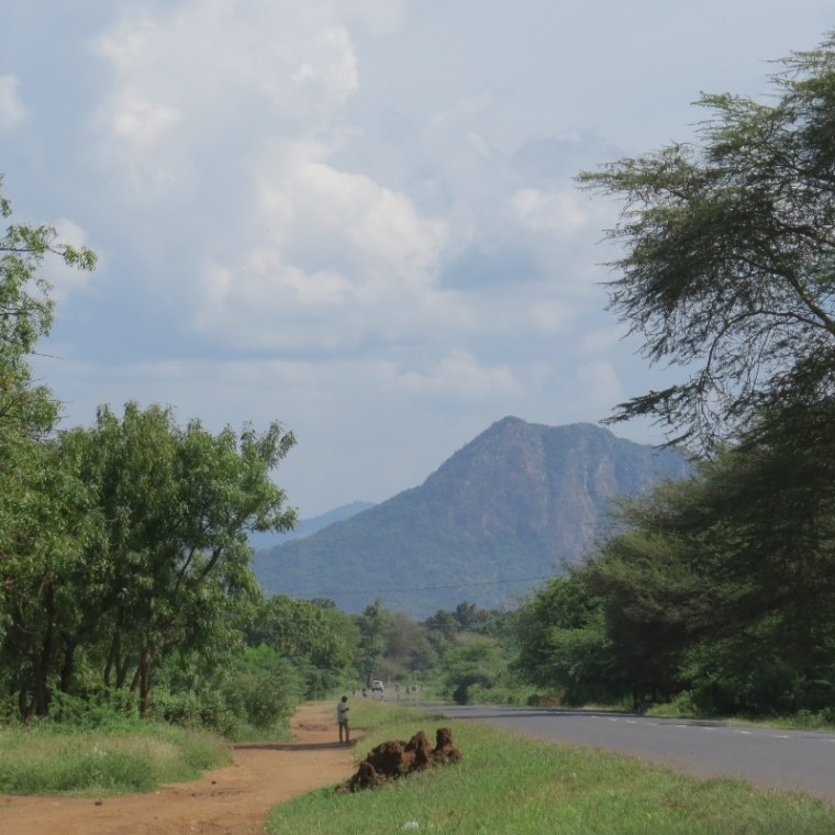 The road to Korogwe with the peaks of Pare mountains, Tanzania. Copyright Rupi Mangat (800x800)