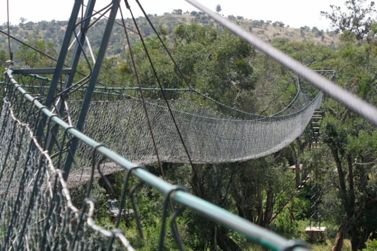 Canopy walk at ngare ndare forest. courtesy Wanjiku Kinuthia NRT (800x533)