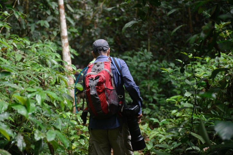 Gautam trekking through Nouabalé Ndoki National Park. Photo Credit Rafael Mares