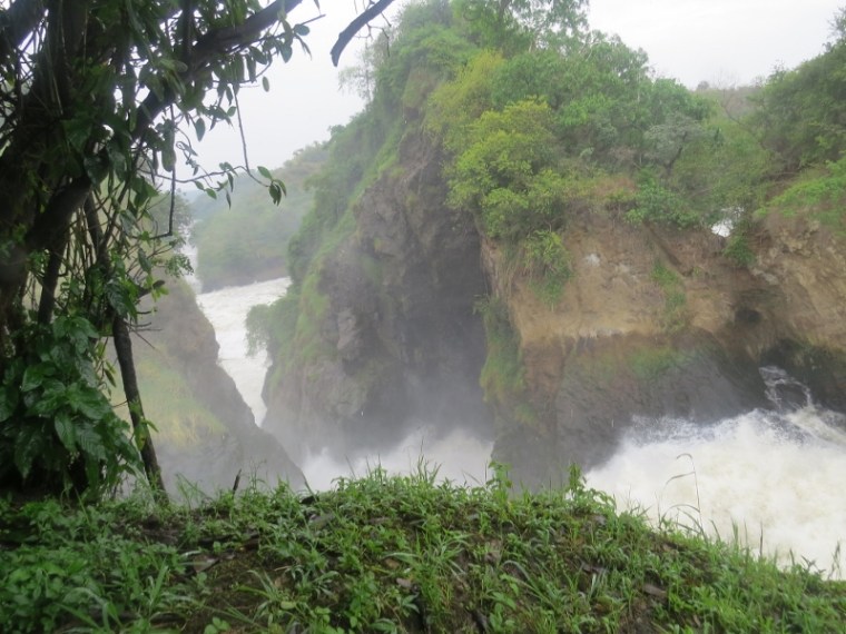 Murchison falls in the National Park in 2017. Ccopyright Rupi Mangat (800x600)