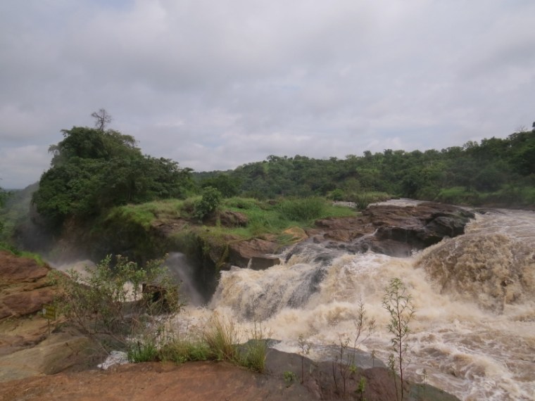 Murchison falls in the National Park in 2017. Uhuru Falls is separated by a thi islet. Ccopyright Rupi Mangat (800x600)