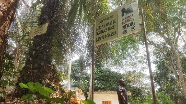 Nouabalé Ndoki National Park headquarters in Bomassa Photo Credit Gautam Shah (800x450)