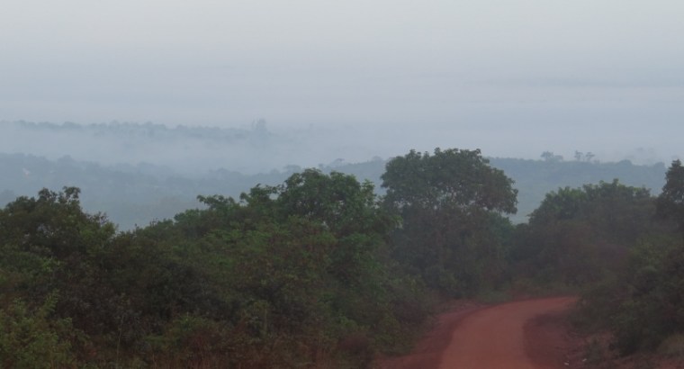 Shimba hills in mist March 2020. Copyright Rupi Mangat (800x600)