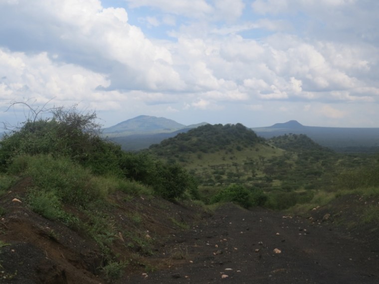 Tavo West March 2020. Copyright Rupi Mangat (800x600)